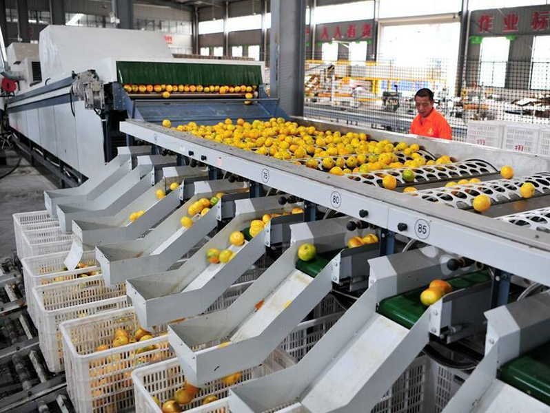 Landwirtschaftliche Produktion